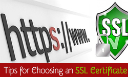 choosing-an-ssl-certificate