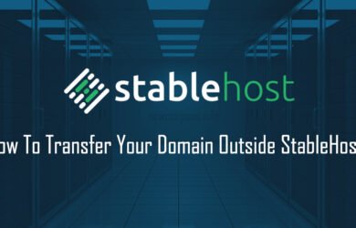 How To Transfer Your Domain Outside StableHost?