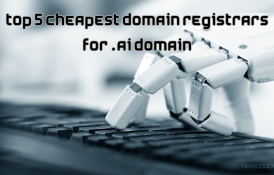 Top 5 Cheapest Domain Registrars For .AI Domain